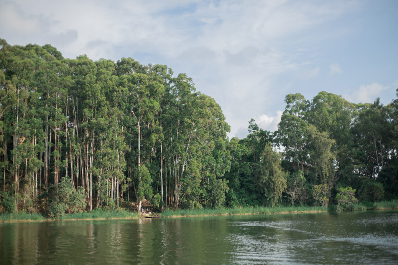 bushara highland on Lake Bunyonyi